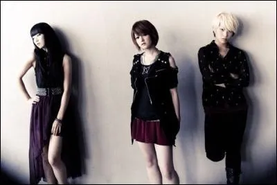 Ce groupe est un groupe de :