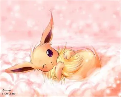 Quel est le nom japonais d'Evoli ?