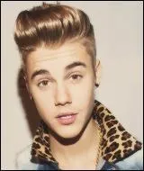 De quelle couleur sont les yeux de Justin ?