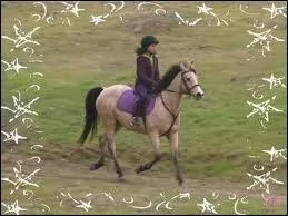 Quel est le cheval de Carole ?