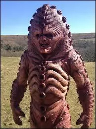 Dans tout l'pisode, on a pu voir plusieurs sortes d'extraterrestres, mais lesquelles ?