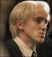 Avec qui Drago Malefoy s'est-il mari ?