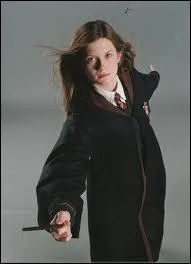 Quelle profession Ginny n'a-t-elle pas exerce ?