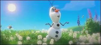 Le bonhomme de neige voudrait voir le :