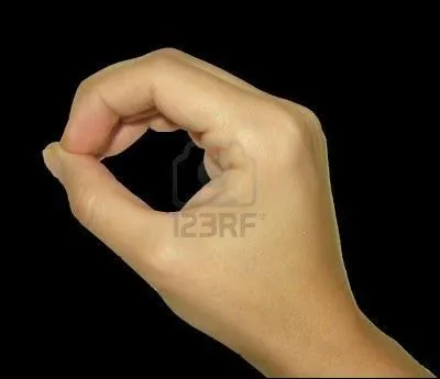 Quelle lettre de l'alphabet traduit ce signe ?