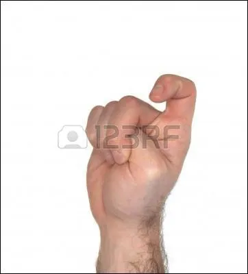 Quelle lettre de l'alphabet est ici transpose en langue des signes ?