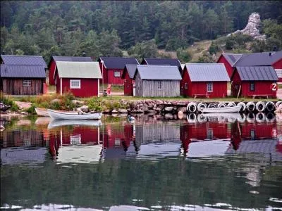 1er janvier 1995 : l'Union europenne (UE) passe de douze  quinze pays. Quels taient les nouveaux arrivs ?