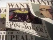 Avec quoi se bat-il ?