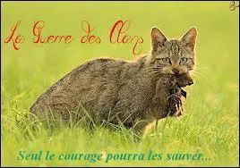 Qui en a besoin car il/elle a t mordu(e) par un rat ?