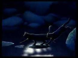 Quel chat est kidnapp par le groupe de chats dans les montagnes ?