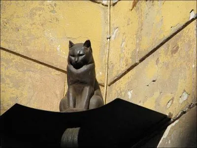 Pour voir ce chat sur une faade, il faut aller...