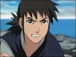 Quel est le mtier de mon grand frre ?