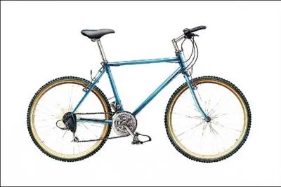 En regardant cette bicyclette, l'ide me vient de lui ajouter quelques sauterelles et papillons, juste pour vous aider !