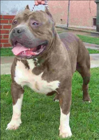 Cette fois-ci, trouvez la chanson !