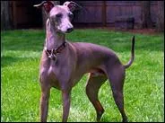 Et celui-l, c'est lequel ?