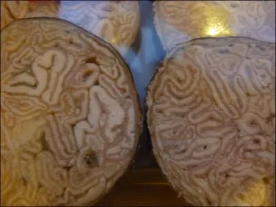 Tous les amateurs le savent, l'andouille de Vire est faite à base de chaudins de porc découpés en lanières avant d'être "embossés" dans un gros intestin. Que cela signifie-t-il ?