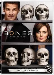 A ce jour, combien de saisons existe-il (saison prvue pour septembre 2014 comprise) ?