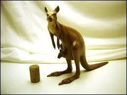 Quel est cet animal ?