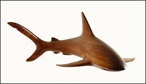 Quel est cet animal ?