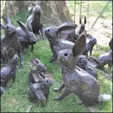 Quel est cet animal ?