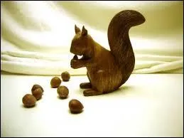 Quel est cet animal ?