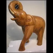 Quel est cet animal ?