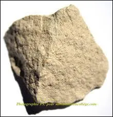 Vers le milieu du VIe siècle avant Jésus-Christ, les sculpteurs s'attaquèrent à la pierre. Les premières créations étaient toutes rondes : le corps était dissimulé sous la tunique qui tombait en plis jusqu'aux pieds et les orteils dépassaient. Ces statues ressemblaient littéralement à des arbres ! Les sculpteurs choisirent pour ces premières créations une pierre facilement maniable. Laquelle ?