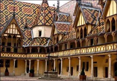 Les Rois de France et les Ducs de Bourgogne s'intressaient dj  ce vignoble de la Cte-d'Or en particulier au  Clos-Vougeot  galement trs apprci par le Pape Clment VI, mais quel est donc ce vin ?