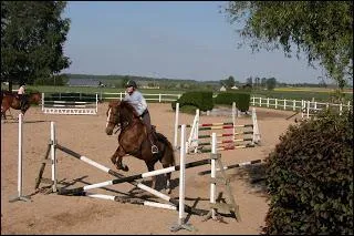 Quelle est cette discipline ?