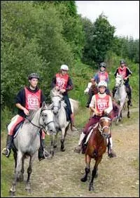 Quelle est cette discipline ?