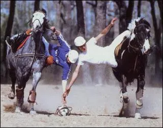 Quelle est cette discipline ?