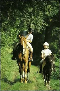 Quelle est cette discipline ?