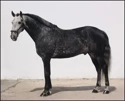 Quelle est la robe ci-contre ?