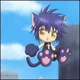 Comment s'appelle ce Shugo Chara ?