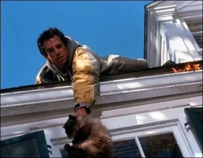 De quel film cette image de Ben Stiller est-elle tirée ?