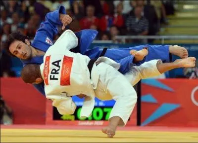 Comment s'appelle l'action de gagner par immobilisation totale de son adversaire, au judo ?