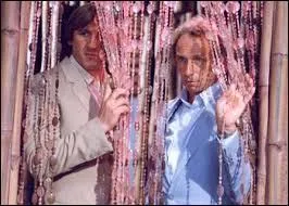 En 1981, Pierre Richard et Grard Depardieu forment un duo impayable dans ce film de Francis Veber :