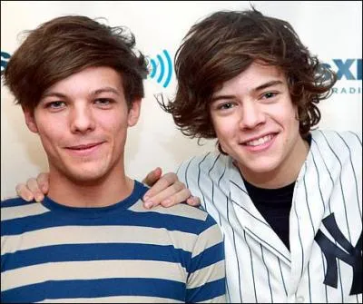 Quel est le surnom de ces deux boys de One Direction ?