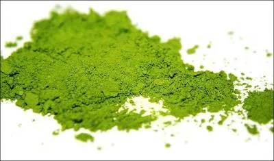 Le  matcha  est une poudre trs fine obtenue par broyage des feuilles d'une plante entre deux pierres. Comment se nomme cette plante ?