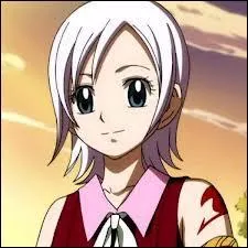 Quel est le nom de famille de Elfman, Mirajane et Lisanna ?