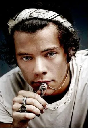 Quel nom de groupe Harry a-t-il choisi ?