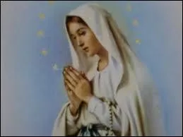 (divin) : ''Je n'ai pas vu sa plaque, mon adversaire a pris la fuite sans laisser sa carte, mais ce que je peux vous dire, c'est que ma voiture était garée en face de l'Immatriculée-Conception.''