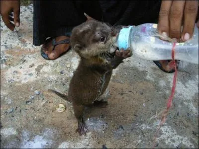 C'est l'heure de la tte pour ...