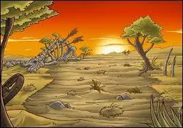 A quel endroit trouve-t-on cette image ?