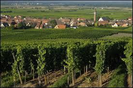 Nich au milieu des vignes, voici le village alsacien de Bennwihr. Nous allons visiter cette commune du dpartement ...
