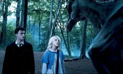 Aprs que Harry Potter et ses amis se soient dfaits des griffes de Dolores Ombrage, ils doivent se rendre  ce dpartement. Dans le film, quelles cratures emmnent nos hros jusqu' Londres ?