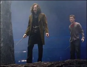 Une course-poursuite s'engage alors. Dans la confusion, Harry Potter parvient  s'enfuir et atterrit dans la Salle de la Mort. Alors que Harry Potter s'apprte  remettre la prophtie  Lucius Malefoy, que se passe-t-il ?