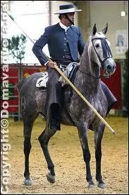 Quelle est cette discipline ?