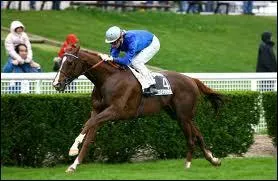 Quelle est cette discipline ?