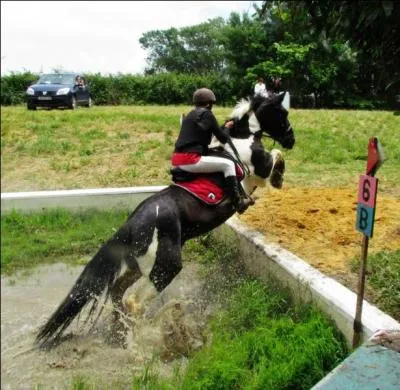 Quelle est cette discipline ?